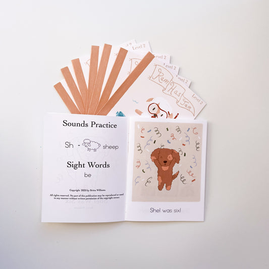 Phonetic Decodable Readers Set 2- Ram Has Jam 8 Book Set