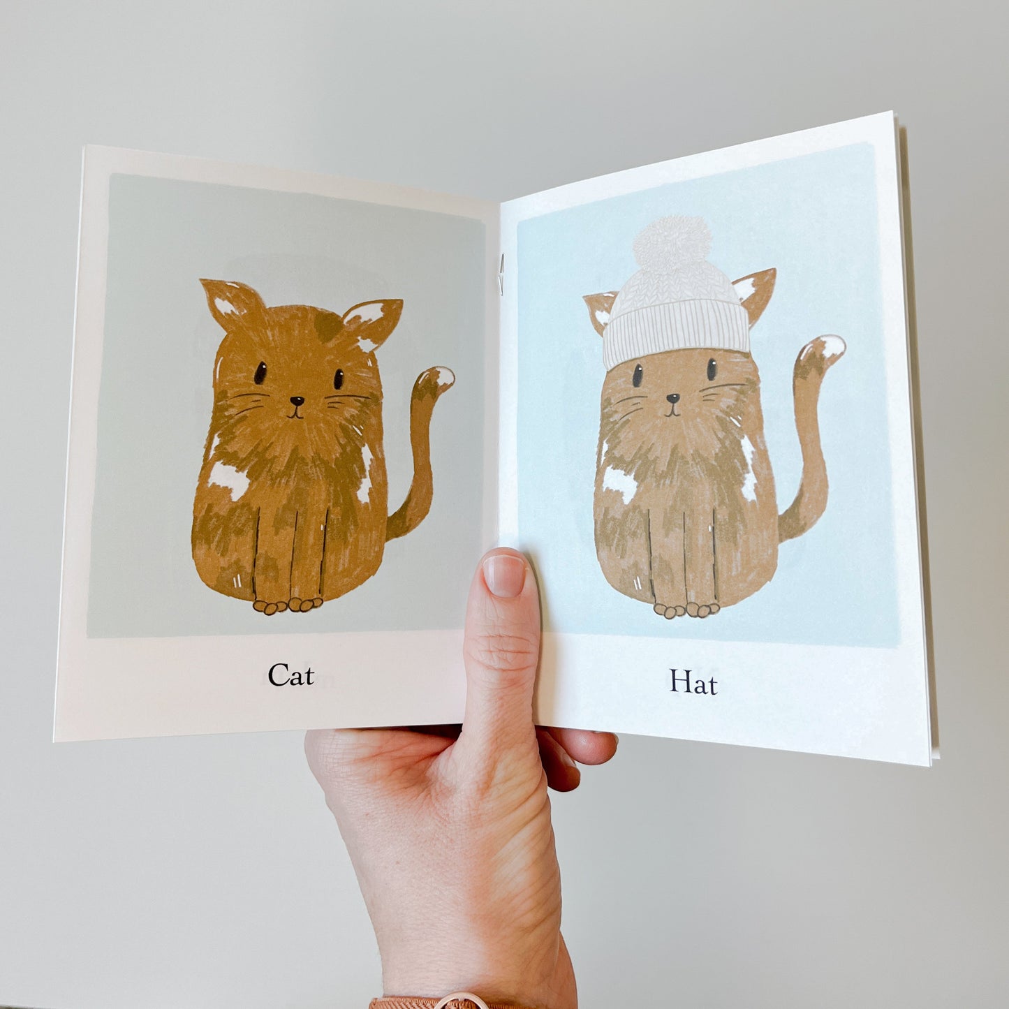 Pre-Reader Decodable Beginner Books - Ram Has Jam 6 Book Set