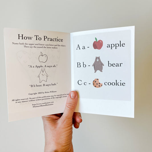 Pre-Reader Decodable Beginner Books - Ram Has Jam 6 Book Set