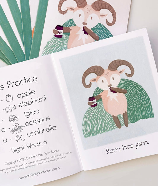Decodable Reader Books - Set 1