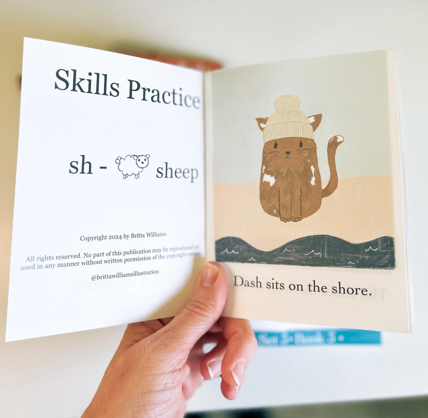Level 2 Phonetic Decodable Readers - Ram Has Jam 8 Book Set