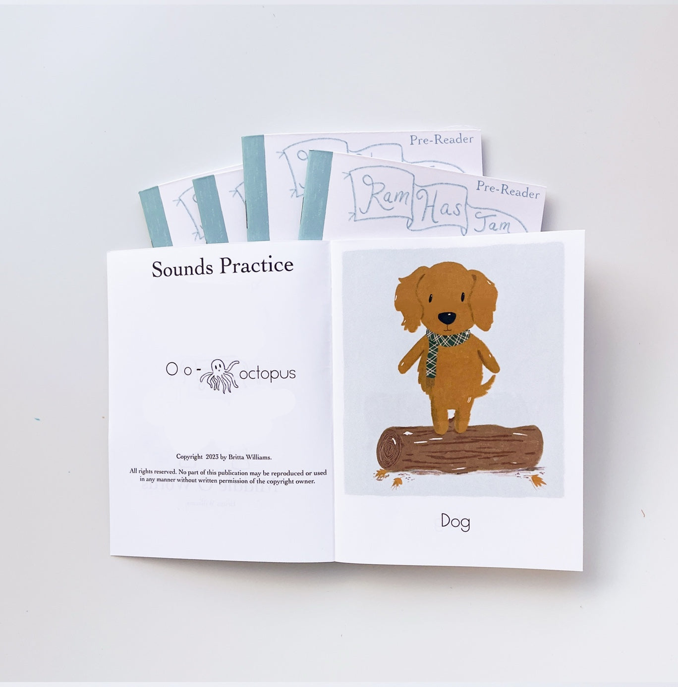 Decodable Beginner Learn to Read Books - Pre-Reader Ram Has Jam 6 Book Set