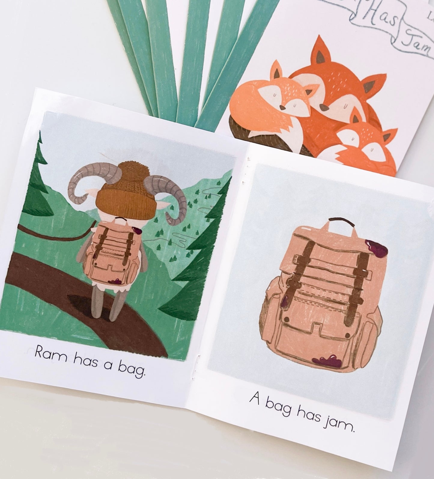 Decodable Reader Books - Set 1
