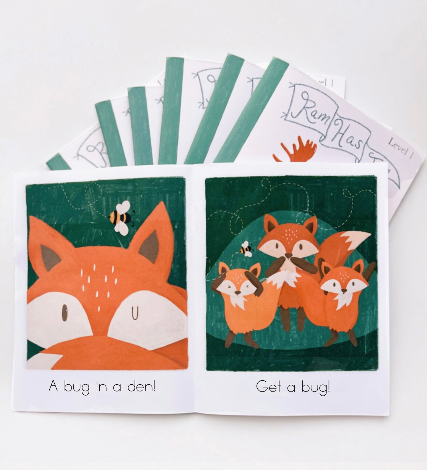 Decodable Reader Books - Set 1