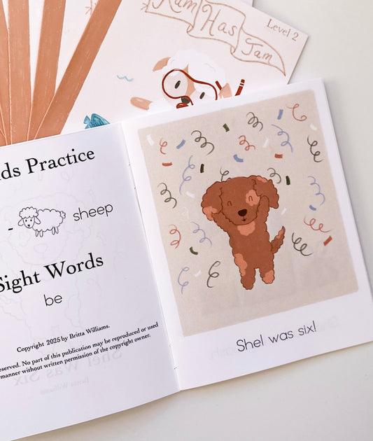 Easy Beginner Reading Books - Set 2