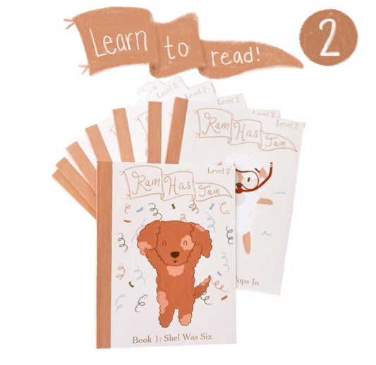 Easy Beginner Reading Books - Set 2