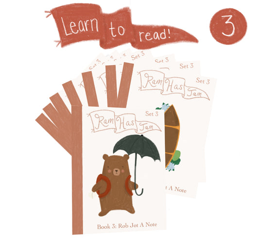 Phonetic Decodable Readers -  Set 3
